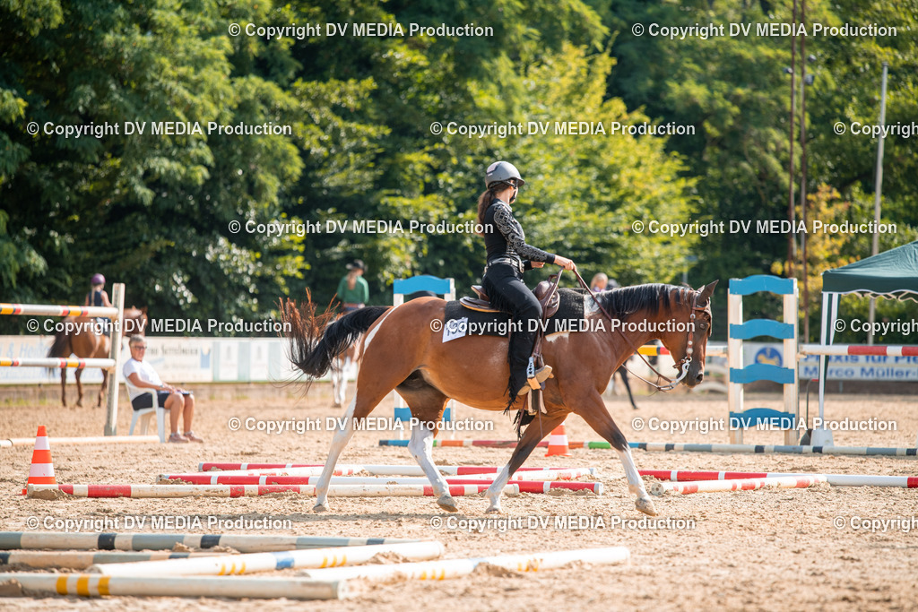 ZS2_7515 | dv-media-shop - Realisiert mit Pictrs.com