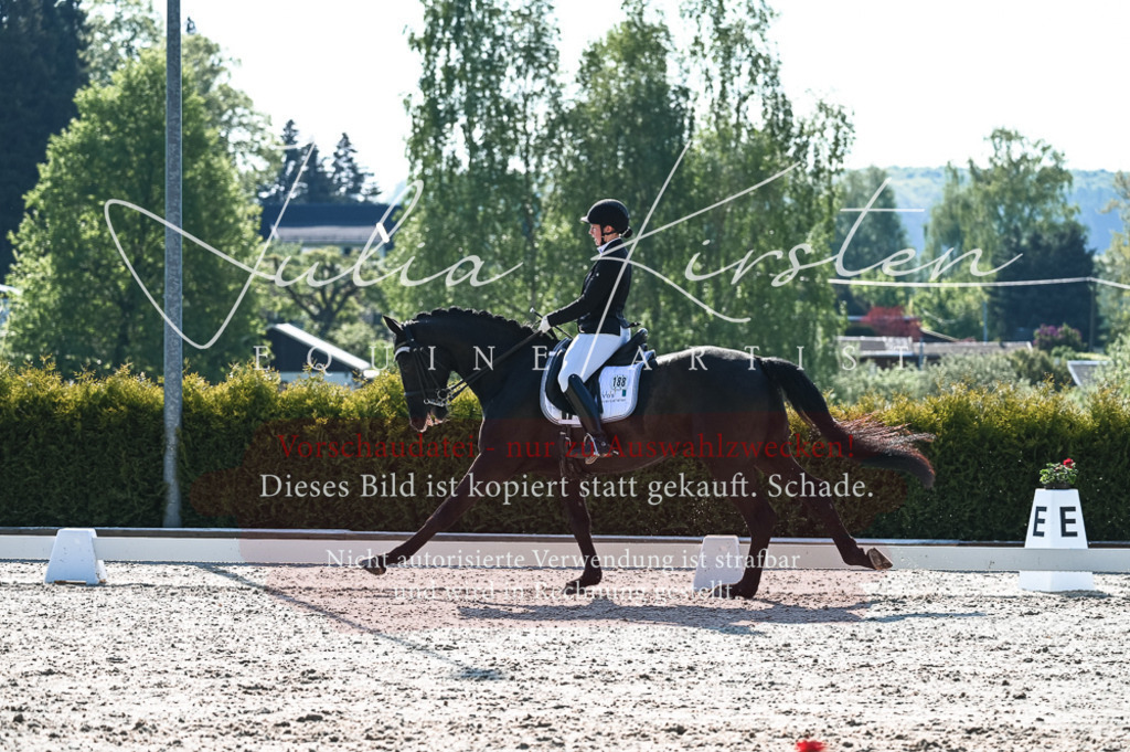 20230514_JK-Röhrsdorf-18-176 | Pferde- und Turnierfotografie in Westsachsen. Pferdeportraits, Auftragszeichnungen und intuitive Kunst.