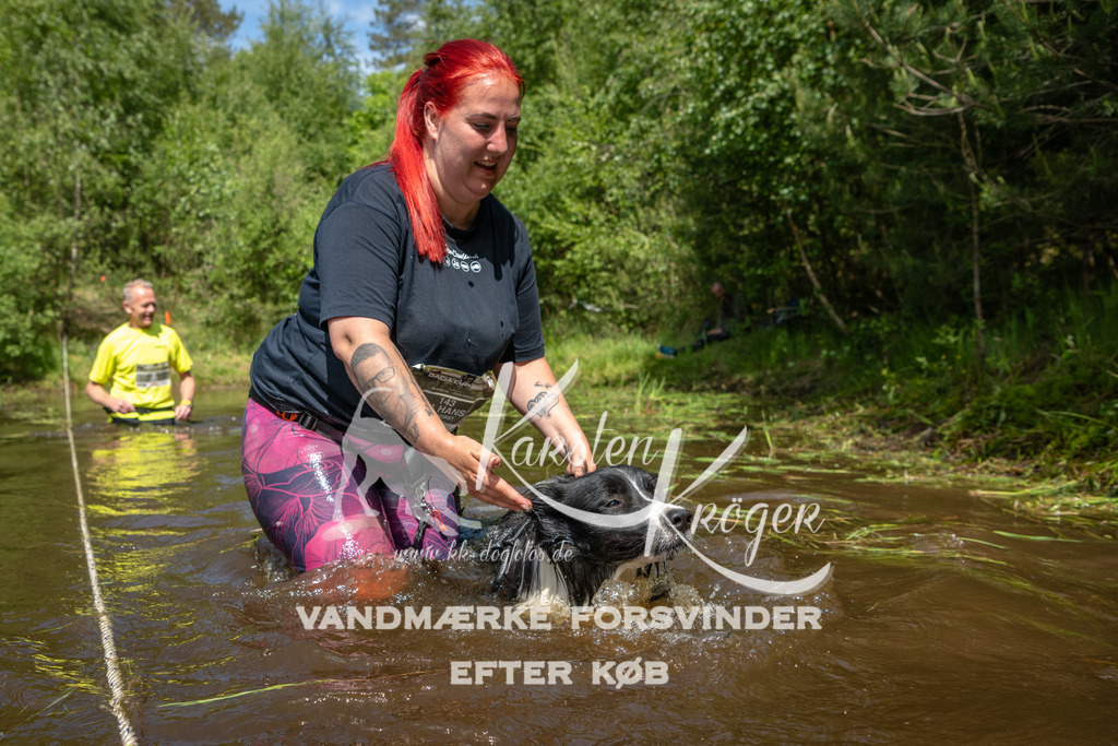 1213DKK992248 | kk-dogfotos