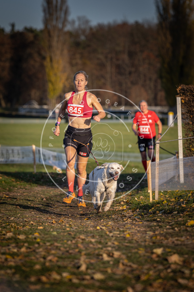 CaniXpix_DV3A3737 | Hundefotografie, Tierfotograf, Pfotenfotografie, Fotoshooting Hund, Hunde Portrait, Hundesport, Hundeportraits, Heideshooting, Hunde, Sportfotograf, Hundefotograf, Turnierhundsport, THS,  - Realisiert mit Pictrs.com