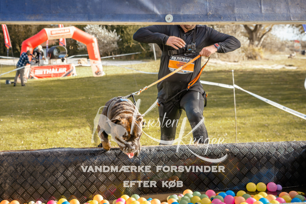 1501_ZZ95695-2 | kk-dogfotos