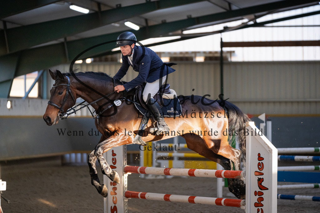 A7V02822 | Pferdefotograf