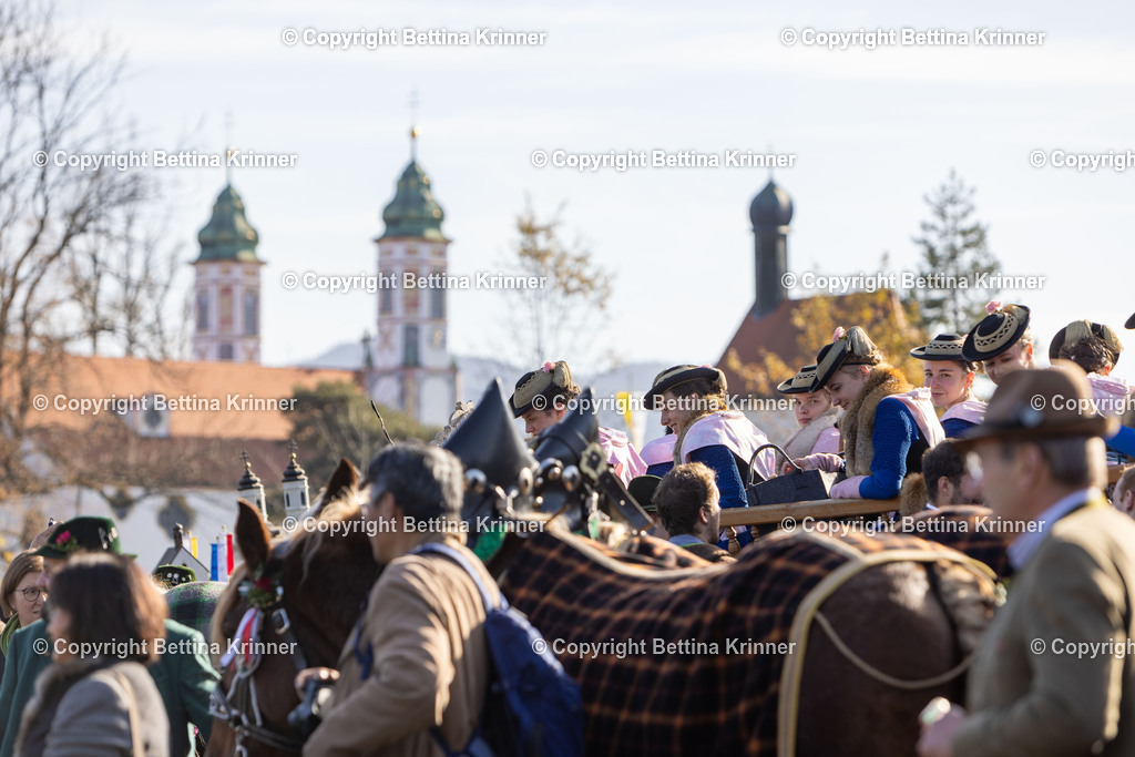 LBT24-1128 | foto-bettina-krinner - Realisiert mit Pictrs.com