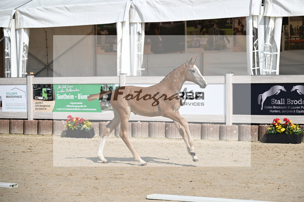 Agalord x C-Indoctro_SF_Diez_12250142 | hf-fotografie - Realisiert mit Pictrs.com