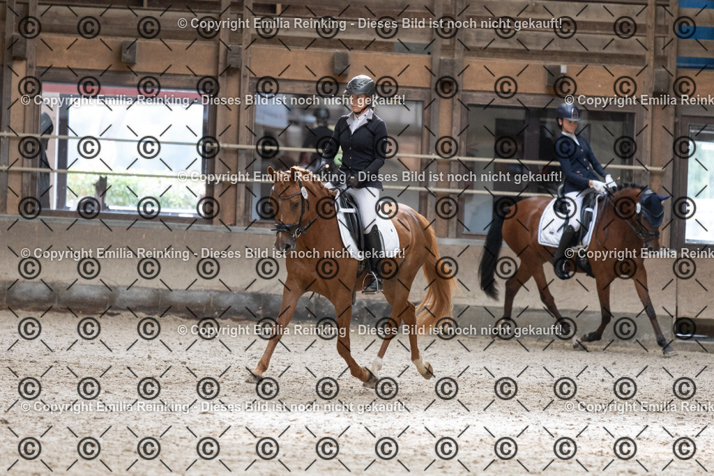 CL5A0910 | Emilia Reinking Fotografie - Realisiert mit Pictrs.com