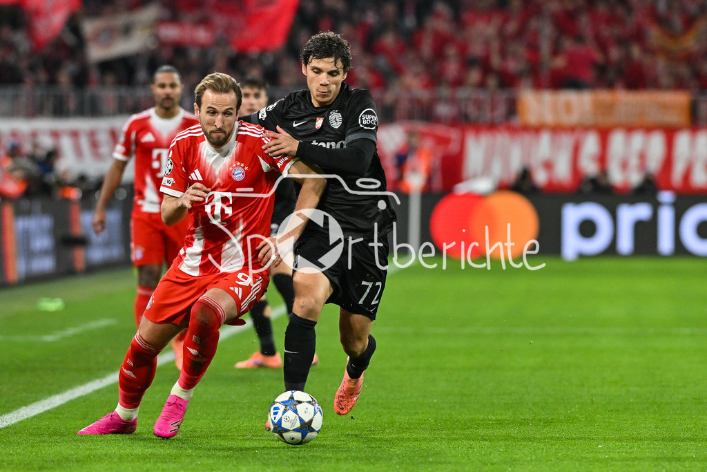 FC Bayern München - Sporting Lissabon | MUNICH, GERMANY - 09. DECEMBER: im Duell Harry KANE (FC Bayern Munich 9) und Eduardo QUARESMA (Sporting CP 72) während dem Match zwischen dem FC Bayern München und Sporting Lissabon am 6. Spieltag der UEFA Champions League Ligaphase in der Allianz Arena