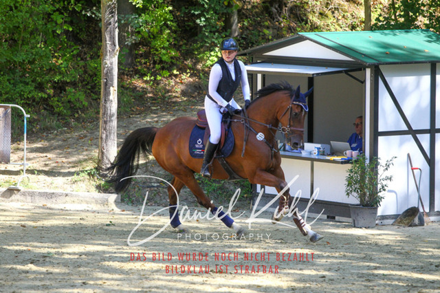 DKP43302 | Turnierfotos kaufen im Webshop von Daniel Kuhl Photography – entdecke professionelle Reitsportfotos aus Turnieren & Events. Hochwertige Turnierbilder online bestellen & sichern. Jetzt Fotos von Reitsportturnieren kaufen!