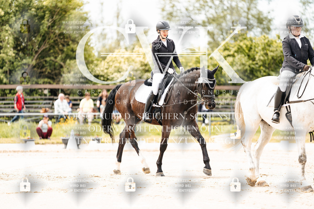 CK902641 | Turnierfotografie Pferdefotografie Trier Rheinland-Pfalz Pferdesport Reitsport Tierfotografie Sportfotografie Pferdevideo Pferdevideografie Equestrianvideography equestrianphotography  - Realisiert mit Pictrs.com