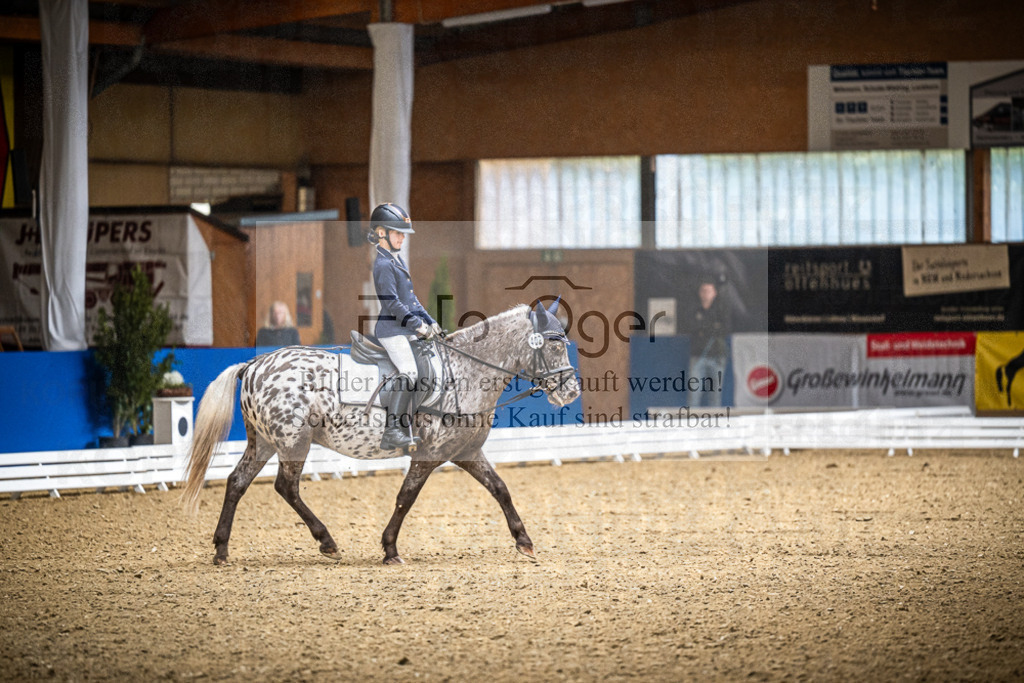 DOS_0684 | Entdecke hochwertige Reitturnierfotos von Foto Oger. Professionell, emotional und authentisch – jetzt Lieblingsmomente im Shop bestellen.Deutschlandweite Turnierfotografie. - Realisiert mit Pictrs.com