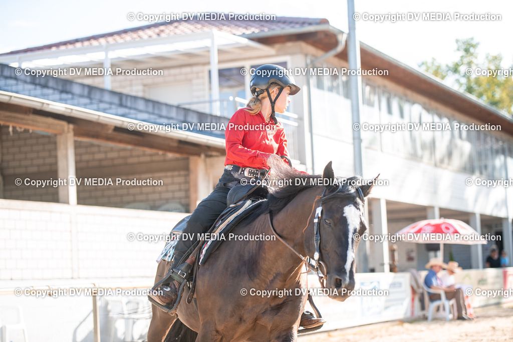 EWP_7144 | dv-media-shop - Realisiert mit Pictrs.com