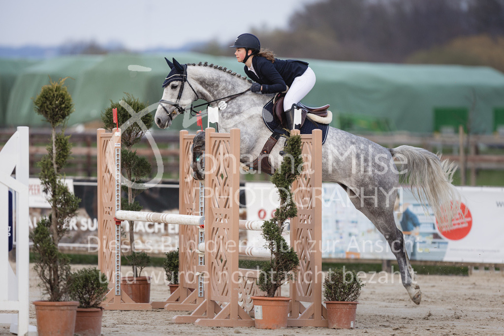 230406_Frühlingsfest_A-Stil2-207 | Deine schönsten Turniermomente als professionelle Fotos! Entdecke hochwertige Pferdesport-Fotografie im Online-Shop. Jetzt Fotos finden & bestellen!