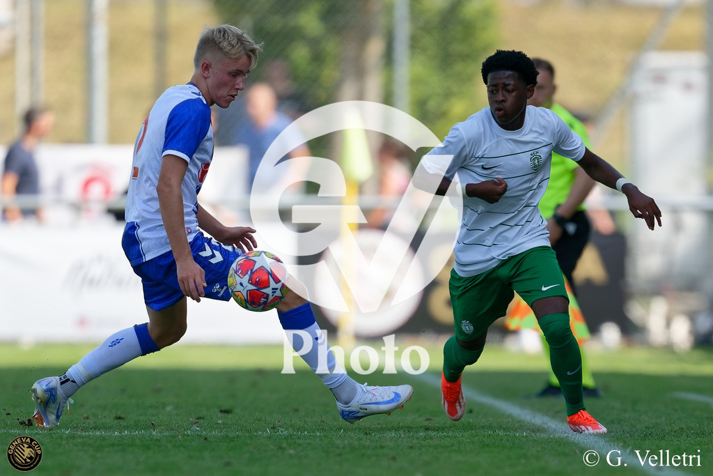 DZ9_6378 | Velletri Photo