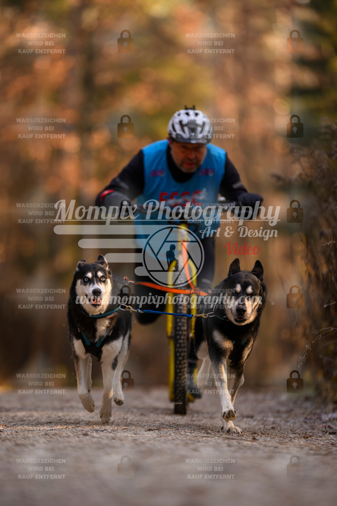 MompixPhotography_DM_AKDM_SO_2025_Scooter-65 | PayLife