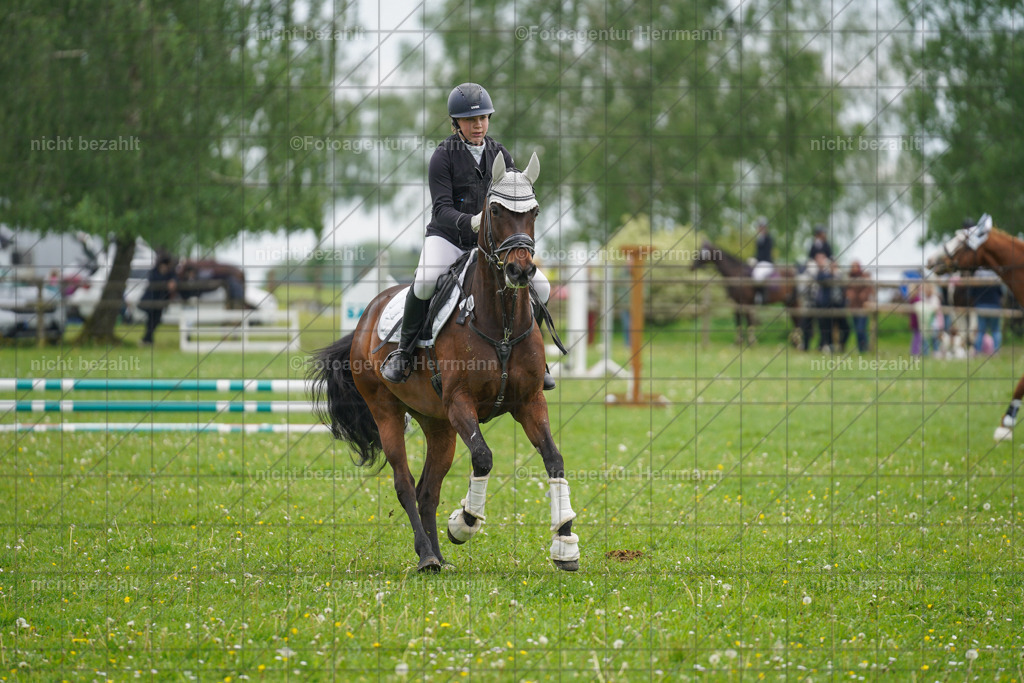 20240509-FAH02412 | Turnierbilder der Turnierfotografen Bayern, Pferdesport Fotografie, Reitsportbilder, Turnier Landberg am Lech, Turnierbilder bayern, Fotoagentur Herrmann