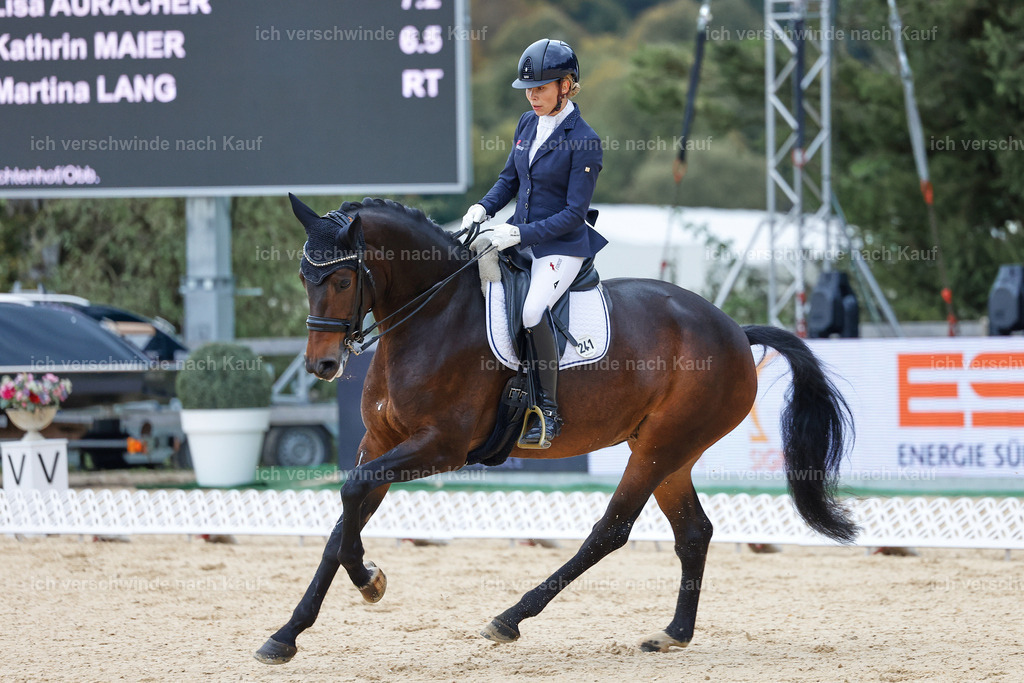 3-241-Dressur M_-StoibPH-2339 | working equitationturnier fotograf videograf stoibphotography marixx film working equitation deutschland reitsport turnierfotografie eventfotografie equestrian events
