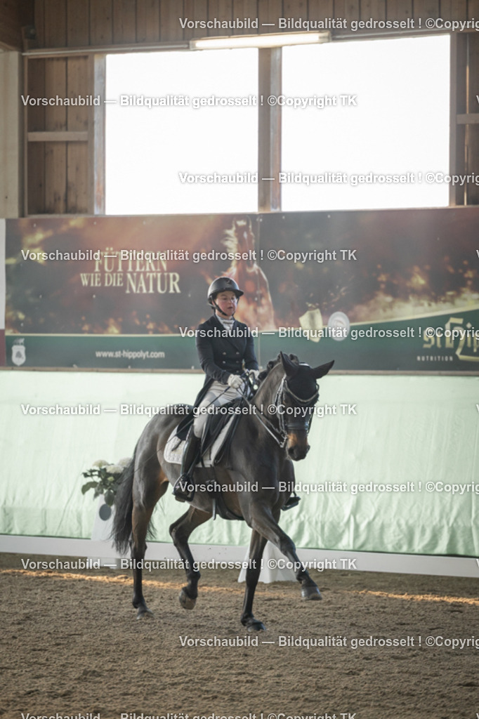 _D5A7691 | Emotionale Pferde- & People-Fotografie rund um Heidelberg, Leimen & Umgebung. Natürliche Fotos von Pferd, Mensch & Familie. Jetzt Termin sichern!