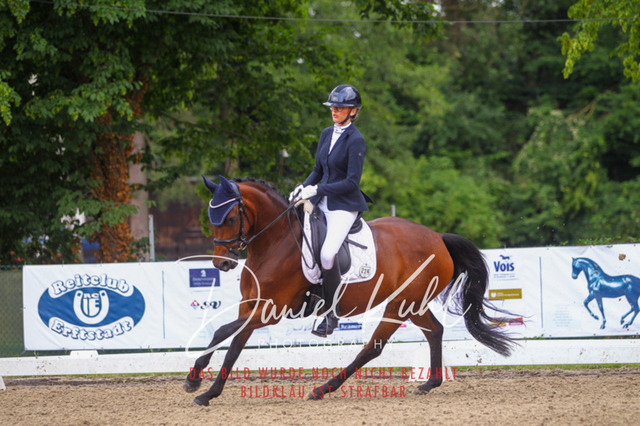 DKP41839 | Turniersportfotografie; Pferdefotografie; Dressurfotografie