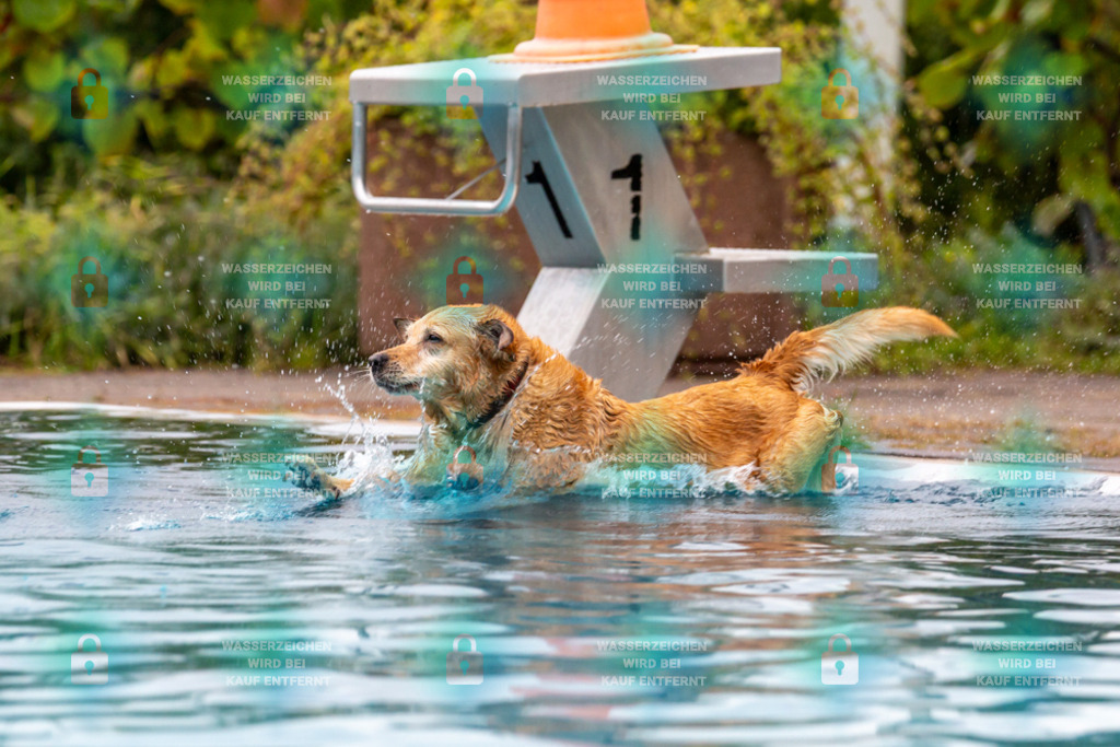 _HP_6077_1000o | HetPix, HetPix Fotodesign, Fotografie, Fotodesign, Webshop, Sportfotografie, Portraitfotografie, Onlineshop, Sportfotografie, Polch, Motorsportfotografie, Eventfotografie