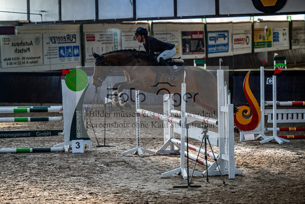 20240308-DOS_2884 | Entdecke hochwertige Reitturnierfotos von Foto Oger. Professionell, emotional und authentisch – jetzt Lieblingsmomente im Shop bestellen.Deutschlandweite Turnierfotografie. - Realisiert mit Pictrs.com