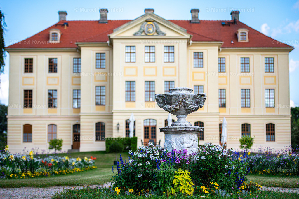 _DSC0729 | foto-rosenfeld