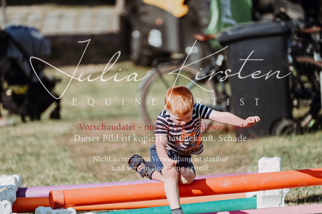 DSC_8915 | Pferde- und Turnierfotografie in Westsachsen. Pferdeportraits, Auftragszeichnungen und intuitive Kunst.