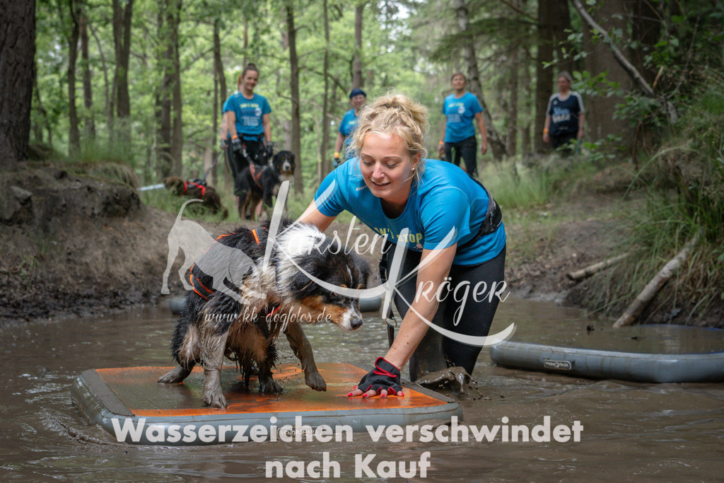 1253_ZZ91398 | kk-dogfotos