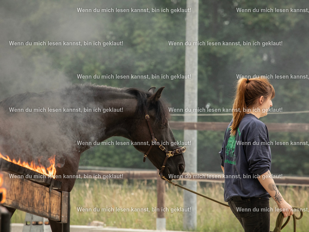 598A7026 | photographylinaismer - Realisiert mit Pictrs.com