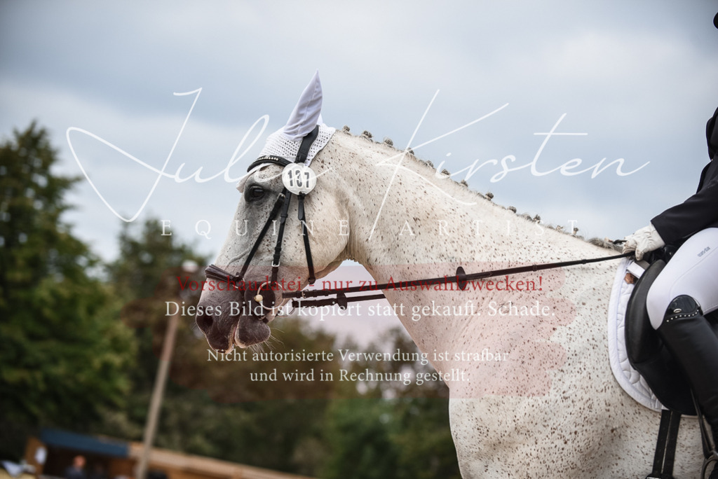 DSC_8498 | Pferde- und Turnierfotografie in Westsachsen. Pferdeportraits, Auftragszeichnungen und intuitive Kunst.