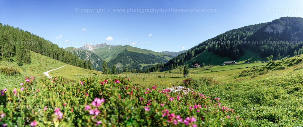 Loschboden Frühsommer copyright  Thomas Pfister-26 | PHOTOGRAPHY BY THOMAS PFISTER