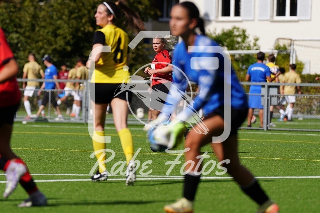 SON09296 | rabefotos