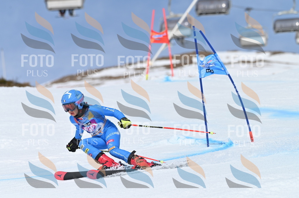 BGV_1173 | holidayphoto