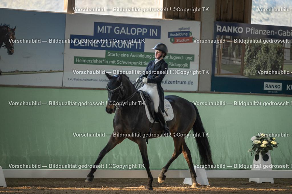 _D5A7697 | Emotionale Pferde- & People-Fotografie rund um Heidelberg, Leimen & Umgebung. Natürliche Fotos von Pferd, Mensch & Familie. Jetzt Termin sichern!