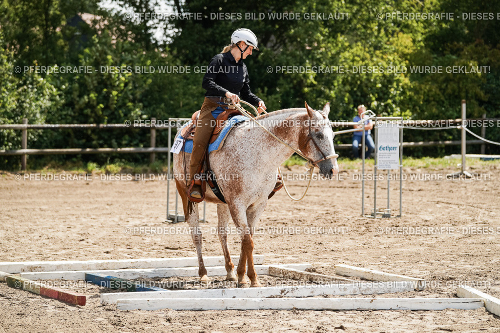 DSC06300 | Pferdegrafie