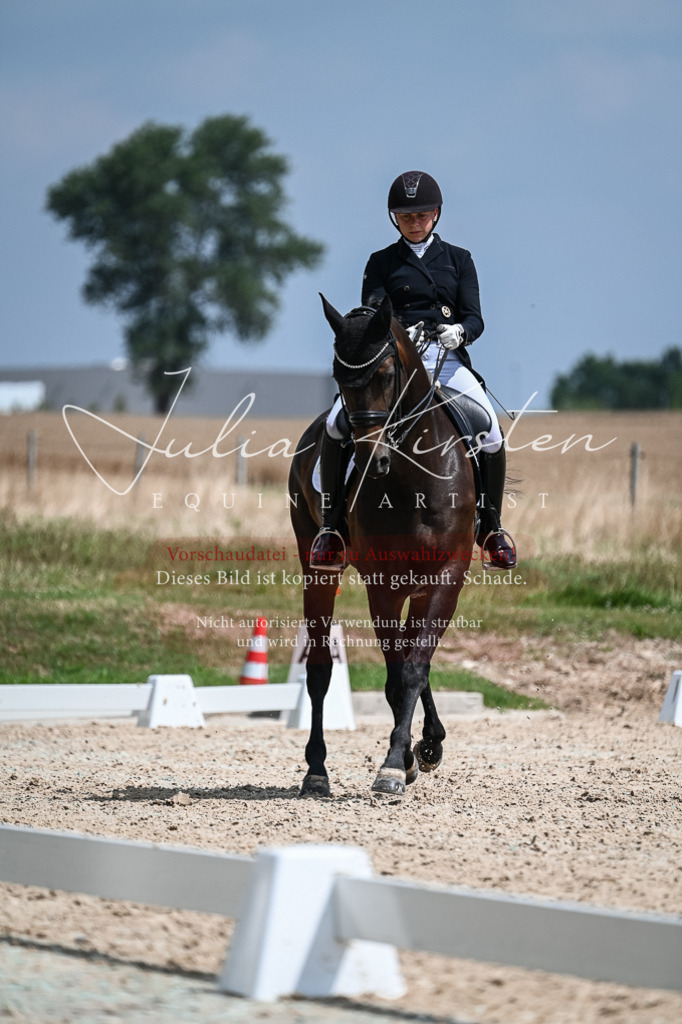 DSC_2580 | Pferde- und Turnierfotografie in Westsachsen. Pferdeportraits, Auftragszeichnungen und intuitive Kunst.
