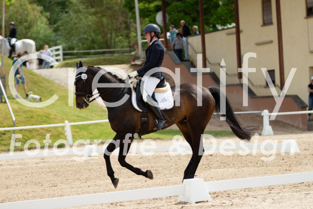 IMG_6949 | Creatify Fotografie