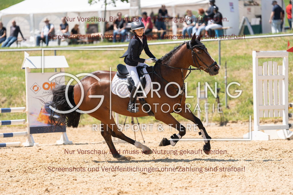 DSC04559 | Springturnier_Ehingen_Mai_2026, Marie_Emilia_Maier, Lord_Athletico