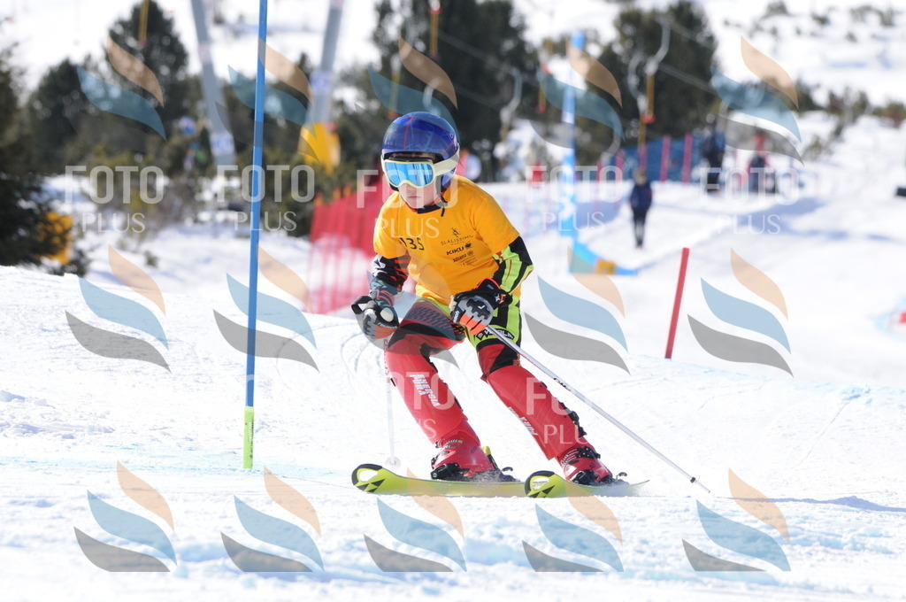 C7237 | holidayphoto