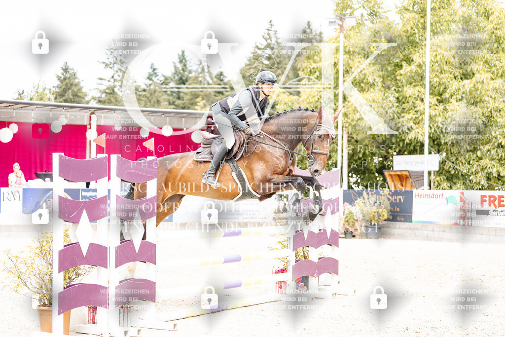 CK909762 | Turnierfotografie Pferdefotografie Trier Rheinland-Pfalz Pferdesport Reitsport Tierfotografie Sportfotografie Pferdevideo Pferdevideografie Equestrianvideography equestrianphotography  - Realisiert mit Pictrs.com