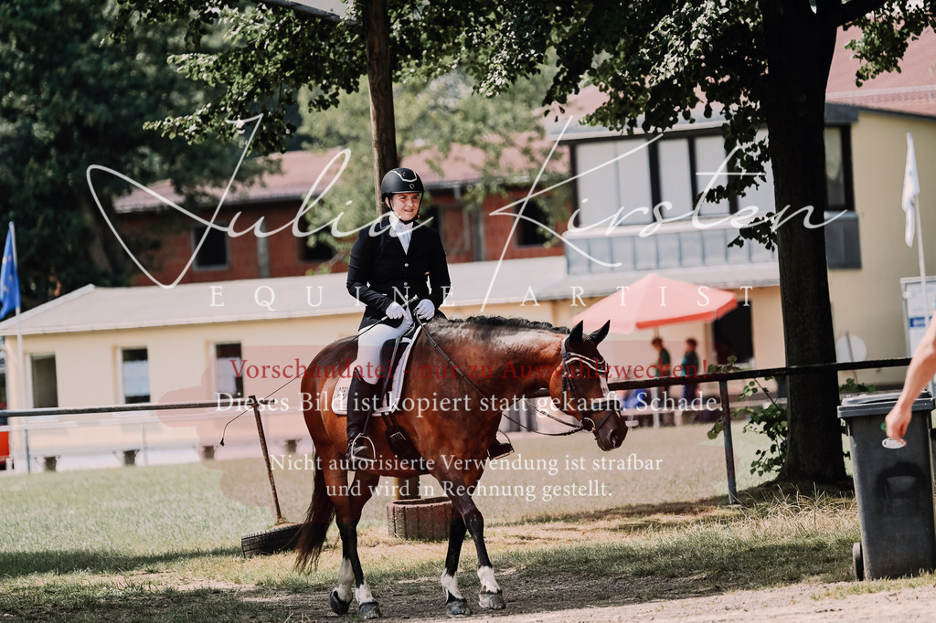 DSC_2710 | Pferde- und Turnierfotografie in Westsachsen. Pferdeportraits, Auftragszeichnungen und intuitive Kunst.