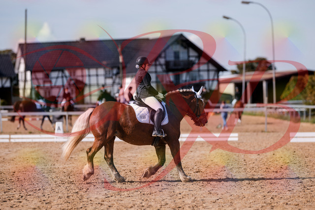 2026_10_03_Siefer-Hof_130224_Z81_56537794 | Professionelle Reitsport-, Turnier- und Eventfotografie von Robert Broda. Galerien mit ausgewählten und bearbeiteten Bildern direkt online ansehen und bestellen.