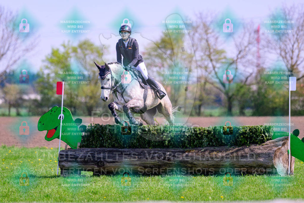 18042026-Gernlinden-01-1-0258 | Fokus Hufschlag Fotografie - Realisiert mit Pictrs.com