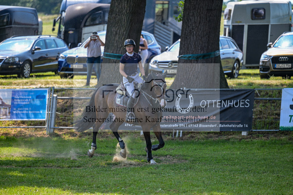 Reitturnier Voxtrup | Entdecke hochwertige Reitturnierfotos von Foto Oger. Professionell, emotional und authentisch – jetzt Lieblingsmomente im Shop bestellen.Deutschlandweite Turnierfotografie. - Realisiert mit Pictrs.com