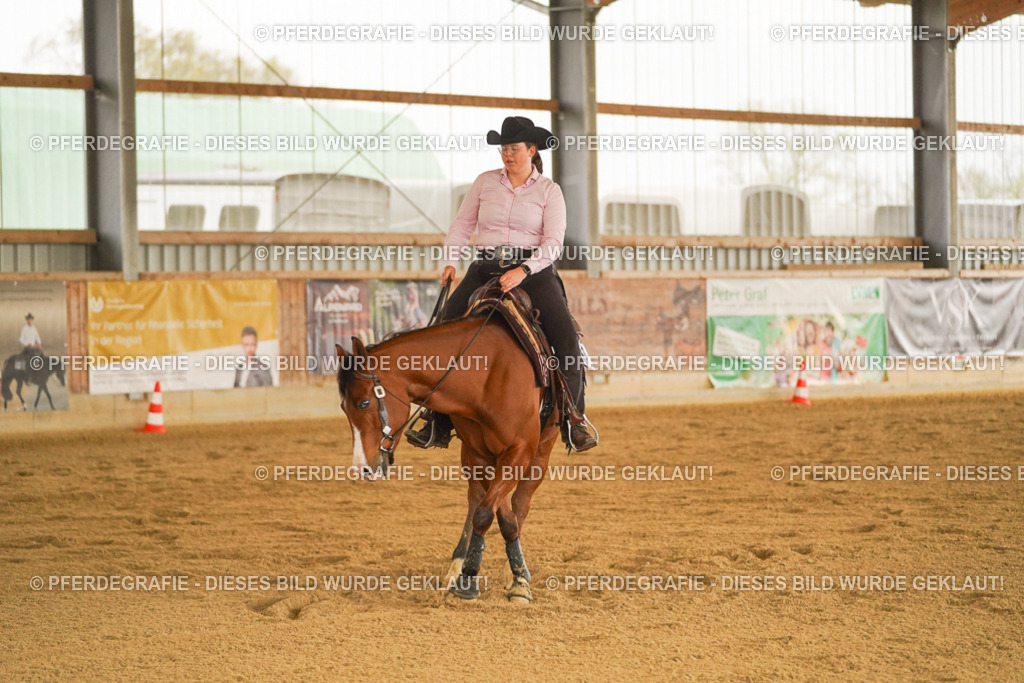 DSC00151 | Pferdegrafie