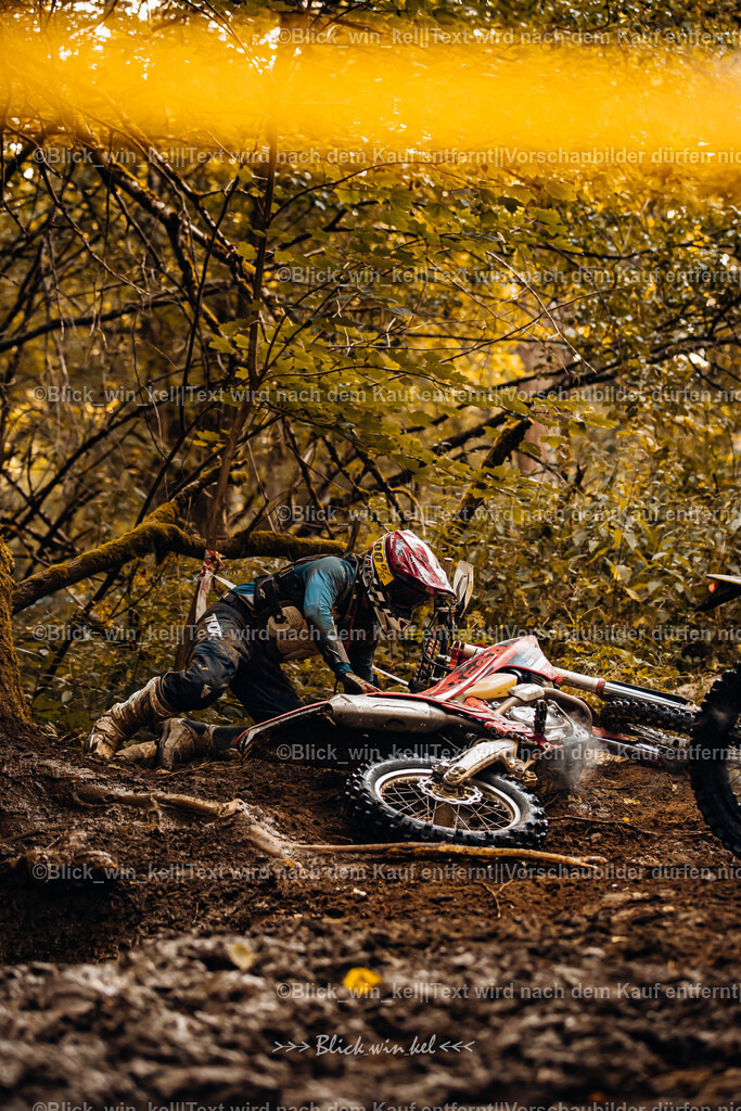 E68A6164 | blick_win_kel