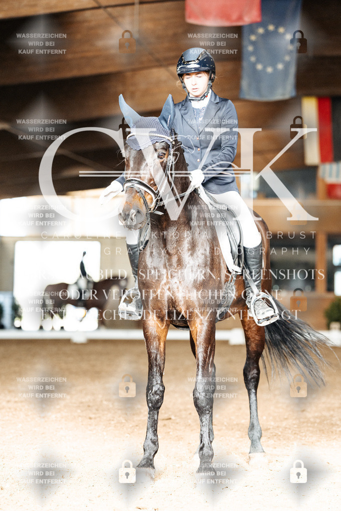 CK902372 | Turnierfotografie Pferdefotografie Trier Rheinland-Pfalz Pferdesport Reitsport Tierfotografie Sportfotografie Pferdevideo Pferdevideografie Equestrianvideography equestrianphotography  - Realisiert mit Pictrs.com