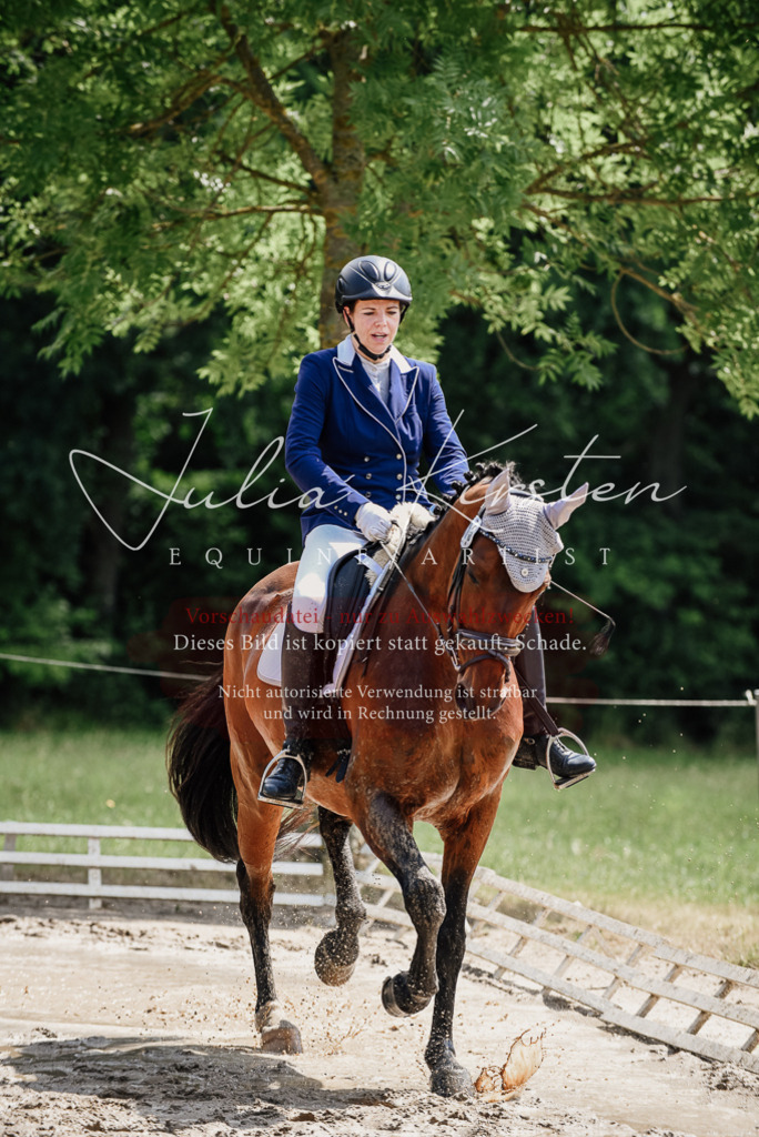 DSC_1183 | Pferde- und Turnierfotografie in Westsachsen. Pferdeportraits, Auftragszeichnungen und intuitive Kunst.