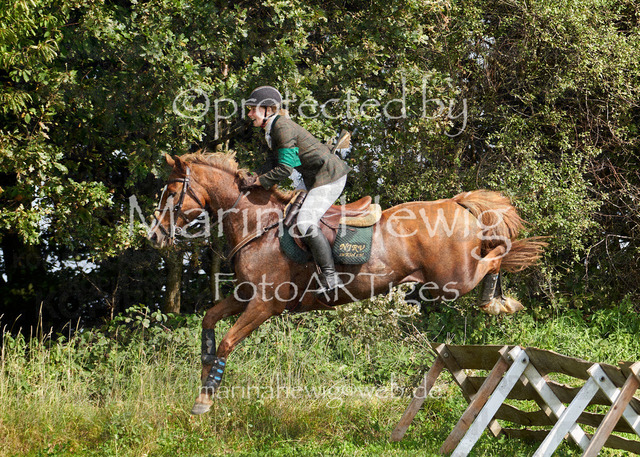 09-23 Jagd Perdöl_MCH0202_Marina Hewig | Fotografie, FotoArt, PferdesportArt, Pferdesportfotografie, Landschaftsfotografie, Reisefotografie, Reise, Pferde - Realisiert mit Pictrs.com