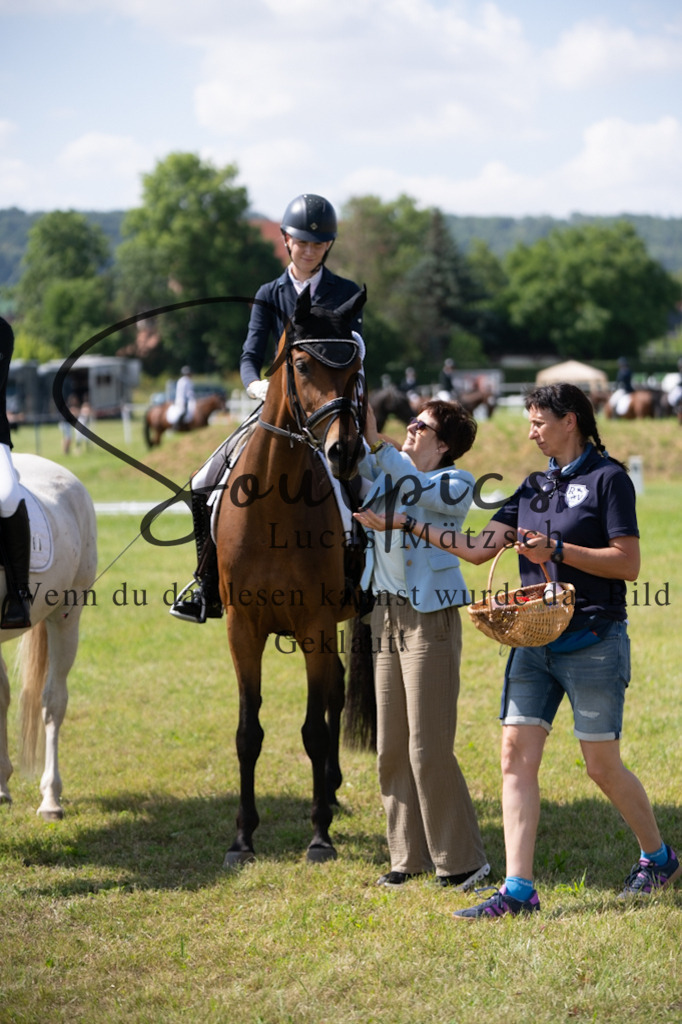 A7V09723 | Pferdefotograf