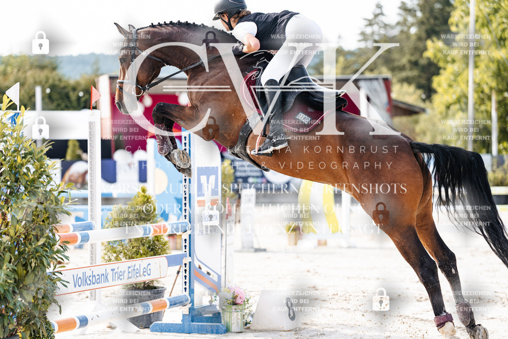 CK905831 | Turnierfotografie Pferdefotografie Trier Rheinland-Pfalz Pferdesport Reitsport Tierfotografie Sportfotografie Pferdevideo Pferdevideografie Equestrianvideography equestrianphotography  - Realisiert mit Pictrs.com