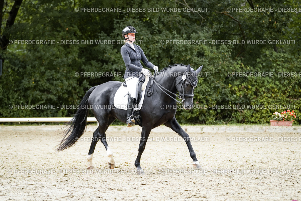 DSC02316 | Pferdegrafie